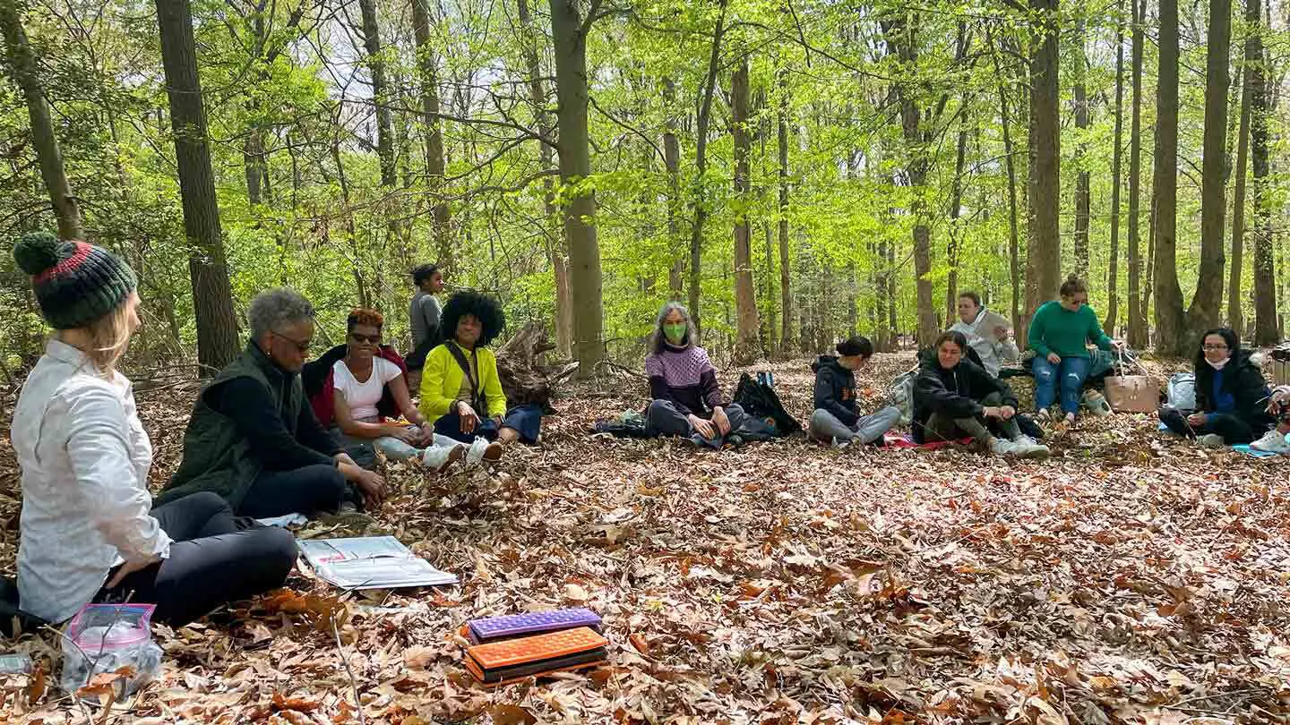 Why Everyone Is Talking About Forest Bathing — And What the Data Shows