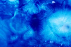 Why Are Gamma-Ray Bursts Considered the Brightest Events in the Universe?