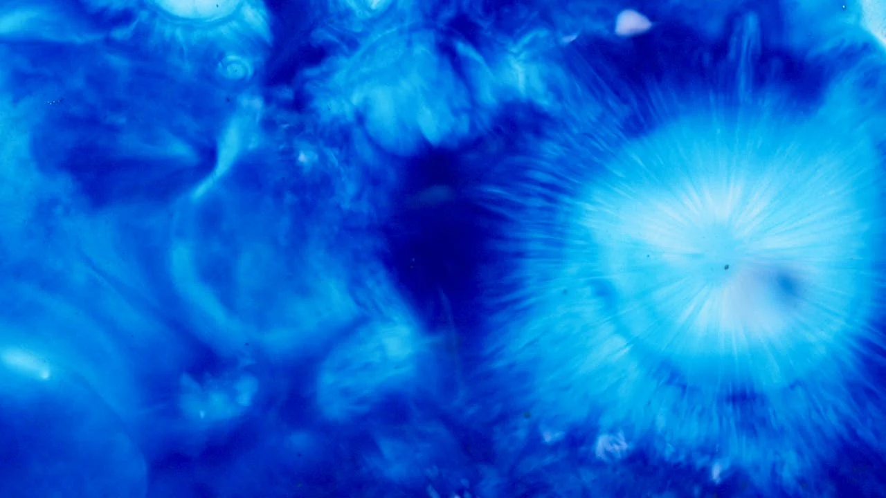 Why Are Gamma-Ray Bursts Considered the Brightest Events in the Universe?